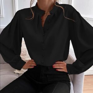 Luxurious satin bishop sleeve. Louse